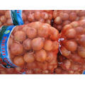 High quality fresh onion manufacturer from China
